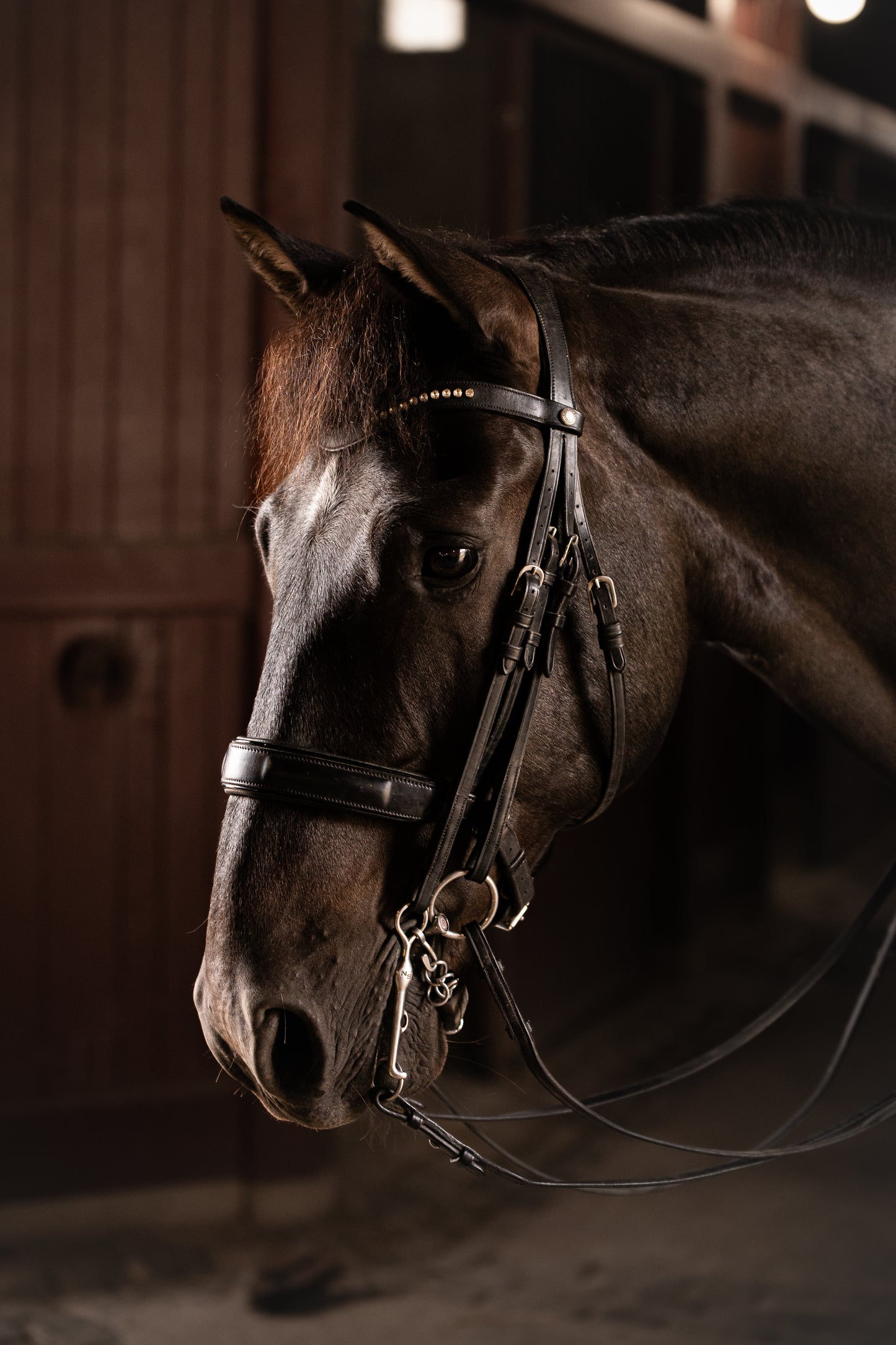 Double bridle