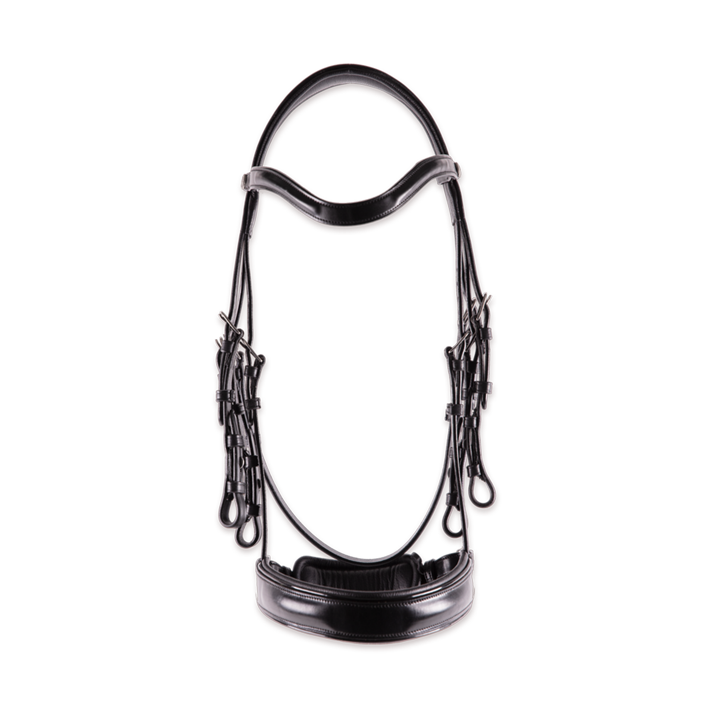 Double bridle